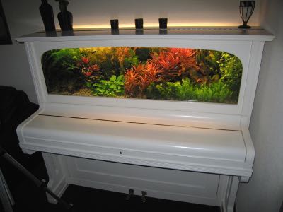piano aquarium
